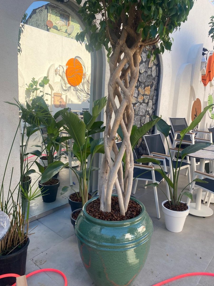 Modern bahçe peyzaj uygulaması